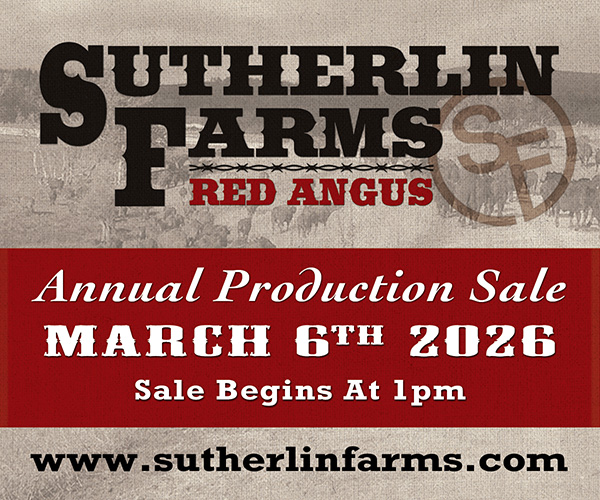 2026 Sutherlin Farms Red Angus Sale